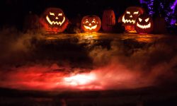 Halloween Ideas for Your Swimming Pool