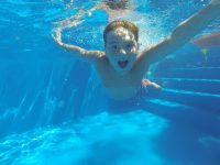 Dive in! The Tampa Swimming Season is Here!