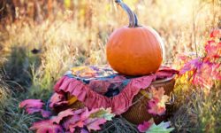 We Have a Lot to Be Thankful for