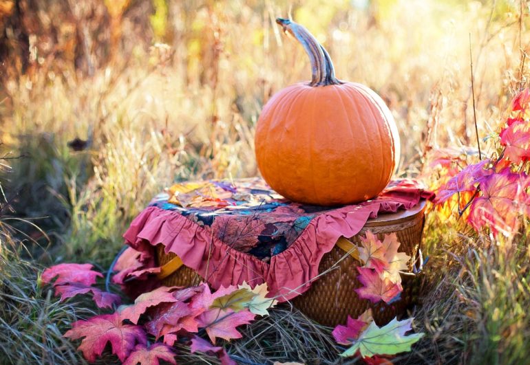 We Have a Lot to Be Thankful for