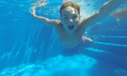 Jump in! It’s Tampa Swimming Pool Season!