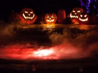 Halloween Swimming Pool Decorations