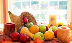 Much to be Thankful for This Thanksgiving