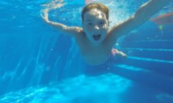 Spring – and the Tampa Swimming Pool Season – Is Here!