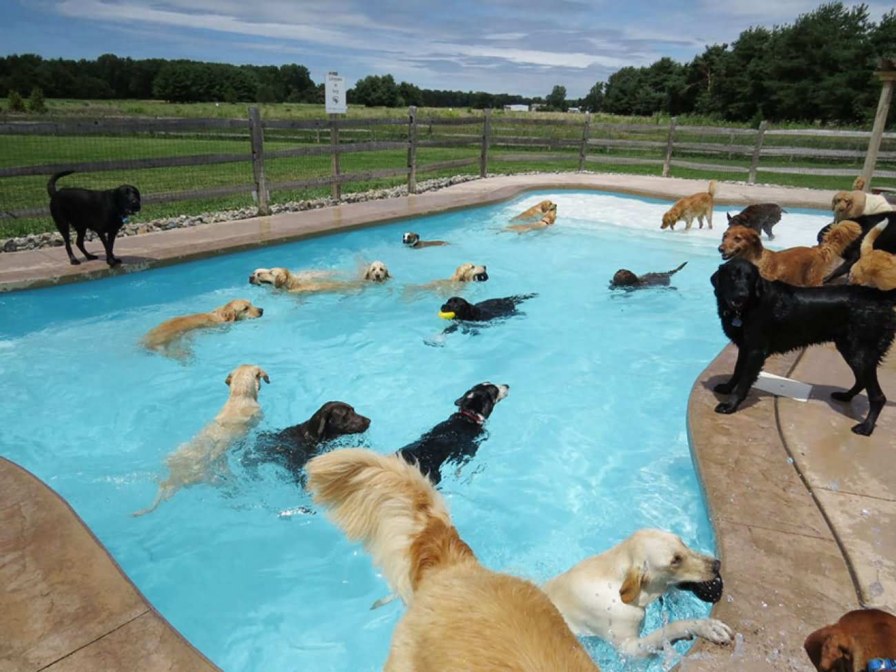 Even More Funny Swimming Pool Fail Pics Grand Vista Pools