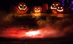 Halloween Decorating Ideas for your Tampa Swimming Pool